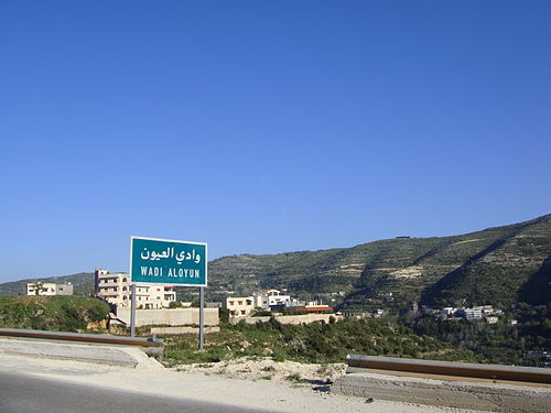 Wadi al-Uyun